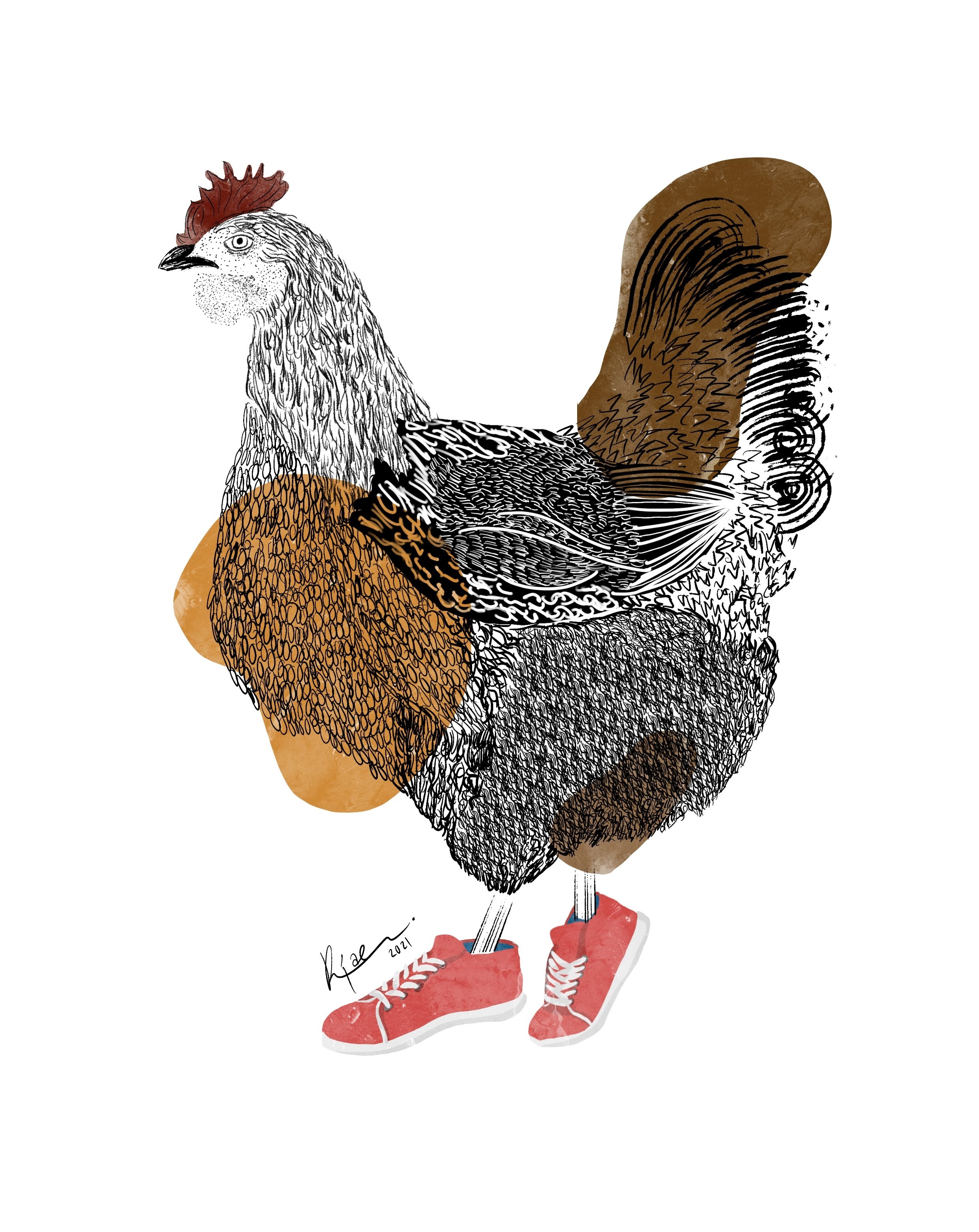 Ilustración de un gallo con tenis